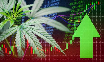 5 Reasons You Should Invest in Marijuana Stocks