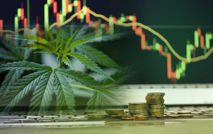 Do’s and Don’ts in the Marijuana Stocks Industry