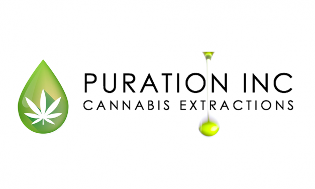 PURA – Puration To Roll Out THC Savor Beverage In Canada