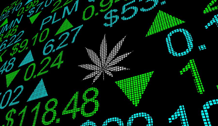 Where Will Marijuana Stocks Be One Year From Now?