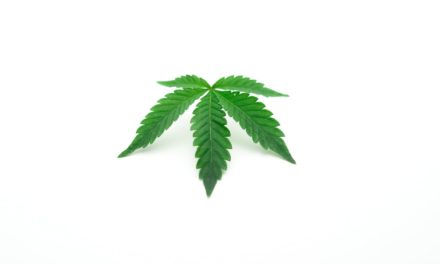 What Part of the Marijuana Plant Is Used?